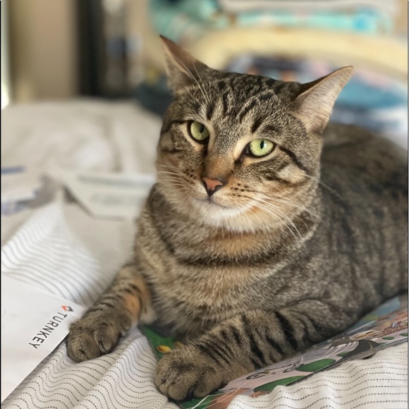 Meet your Posher, Jason - Picture 1 of 1